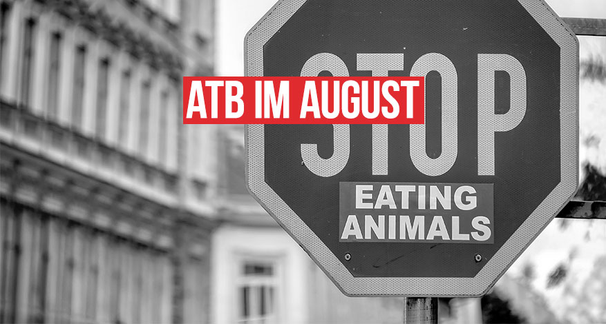 ATB im August